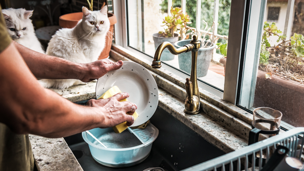 The Hidden Dangers of Dishwashing Liquids: Why You Need a Non-Toxic Alternative